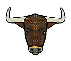 Bull Head design is for bullish people who like meeting challenges head on. A bulls head proudly looks out from the image and is ready for anything that comes their way.