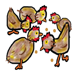 A brood of chickens feeding and generally hanging around.