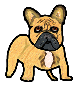 French Bulldog drawing