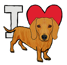 I Love Dachshunds design features large I Love symbol with a confident dachshund standing in front.