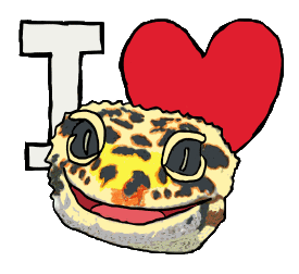 I Love Leopard Geckos features a large 