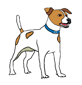 The Jack Russell Terrier in graphic style homage to one of the best small dogs around.  A bundle of energy, fun and intelligence - Jacks are a wonderful companion dog.  A big dog in a small package.