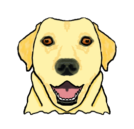 Labrador Face is a simple cartoon style drawing of a smiling Yellow Labrador.