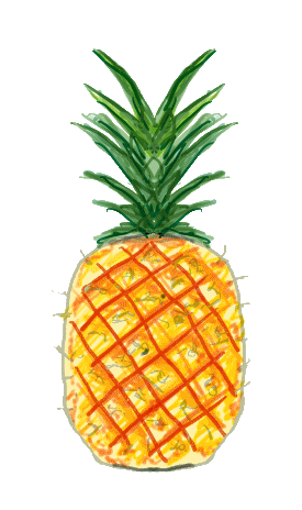 A hand drawn pineapple for that holiday feeling or for fans of the fruit.