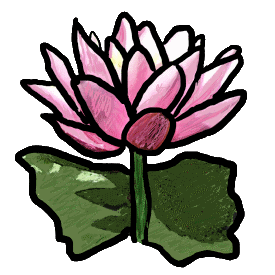 A classic water lily with flower in bloom and leaves in a graphic style.