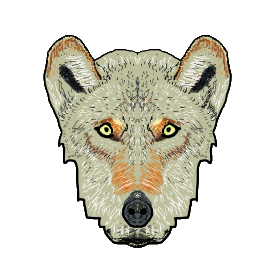 Wolf Face is a drawing of a wolf looking at the viewer. Wolves are cool relations of our domestic dog but with an added edge of wild. Be a wolf!
