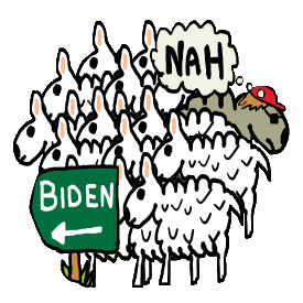 Funny Anti Biden design features sheep flocking in the direction of the Biden sign.  A cool sheep with a red hat saying 
