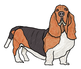  Basset Hound is a fun design of this super dog breed. Gentle, easy going, friendly scent hound, a drawing for Basset fans!