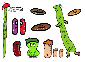 Different types of cartoon beans in one colorful and fun drawing!  Includes French bean, runner bean, baked beans, chili bean, broad beans, jelly beans and coffee beans.  A collection of beans for cooks, chefs, kids and anyone who just likes beans.