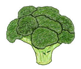 Broccoli design features a hand drawn broccoli stalk with florets. For veggie fans, friends of broccoli and general vegetable gardening types.