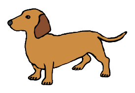 Dachshund Sausage Dog drawing