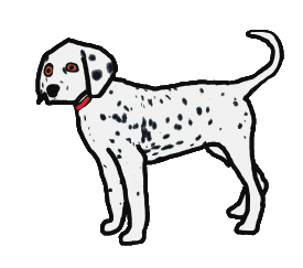 Dalmatian dog drawing