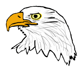 Head of an eagle in graphic style