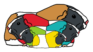 Guinea Pigs design shows different color and size pigs in a fun pattern. For guinea pig fans!