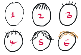 Six examples of hair drawn on a stick figure