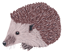 Hedgehog design for fans and slow moving followers of these delightful nocturnal creatures.  The hedgehog is a much-loved and cherished garden visitor - eating slugs and snails in a natural pest-removing way.  A symbol of nature and ecology - and cuteness too