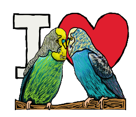 I Love Budgies design shows a pair of budgies perching in front of an I Love symbol. It makes a fun graphic for people who love budgies!