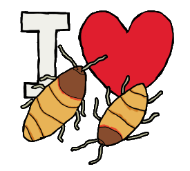 I Love Hissing Cockroaches shows a couple of giant cockroaches in front of an I Love symbol. A fun graphic for hissing cockroach keepers and friends.