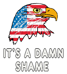 It's A Damn Shame features a proud American Eagle above the words below. It's a statement about the current state of affairs.