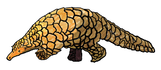 Pangolin design features one of the world's more curious creatures. Beautiful, endangered and fascinating - the Pangolin deserves our respect. Love them and leave them alone.
