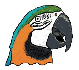 Parrot design shows a parrot looking at the viewer. With typical plumage and pose this parrot would make an ideal companion for pirates or parrot fans out there.