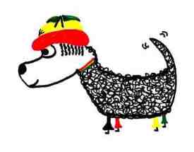 Rasta dog with hat, dreads and flares