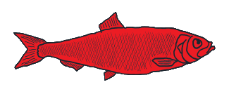 Red Herring features the fish leading you down the wrong path.  For proponents and fans of Red Herrings.