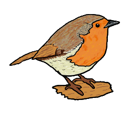 Robin graphic shows a hand drawn robin standing on a twig in a typical pose for this well known garden favourite. The robin is a welcome visitor to the bird table. He is sometimes known as the gardener's friend because he is always around when garden chores are being done. A traditional image for many Xmas designs, the robin!