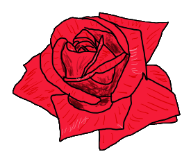 A hand drawn red rose in simple design style. For people who love roses!