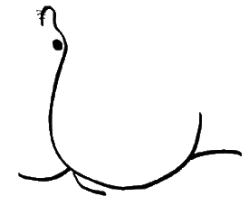 Simple stick style line drawing of a seal