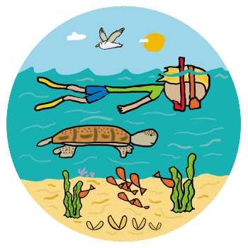 Snorkel design features a keen snorkeler using basic equipment (snorkel, goggles, flippers) to cruise underwater looking at the wildlife. Includes a turtle, some fish, clams and seaweed - all in a stick figure style graphic for snorkeling fun.