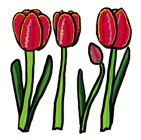 Tulips design features open and closed red tulips in a graphic style. Beautiful bulbs, the tulip is a special sight in the garden. It is easy to see why Tulip Mania occurred in the 1600s when these magnificent flowers were prized as investments. Now we can enjoy them at a more reasonable price!